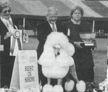 Bucks County and Trenton Kennel Clubs